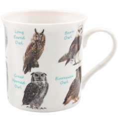 A fine quality mug with a variety of owls. 