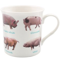 A charming country style mug with pig varieties. 