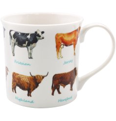 A charming country style mug with cattle varieties. 