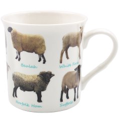 A country living style mug with sheep varieties. Complete with gift box.