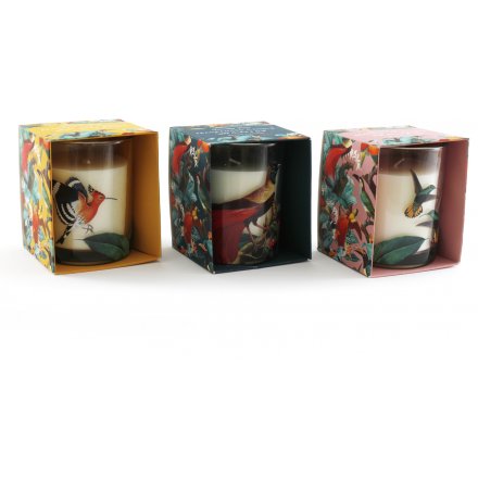 Birds of Paradise Candle, 3a