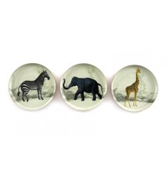 An assortment of 3 round coasters, each with a vintage style Safari image in rich jewel colours.