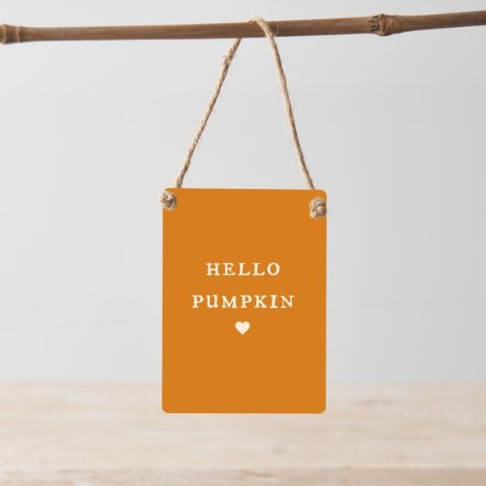 A charming mini metal sign with Hello Pumpkin slogan. Complete with jute string hanger.