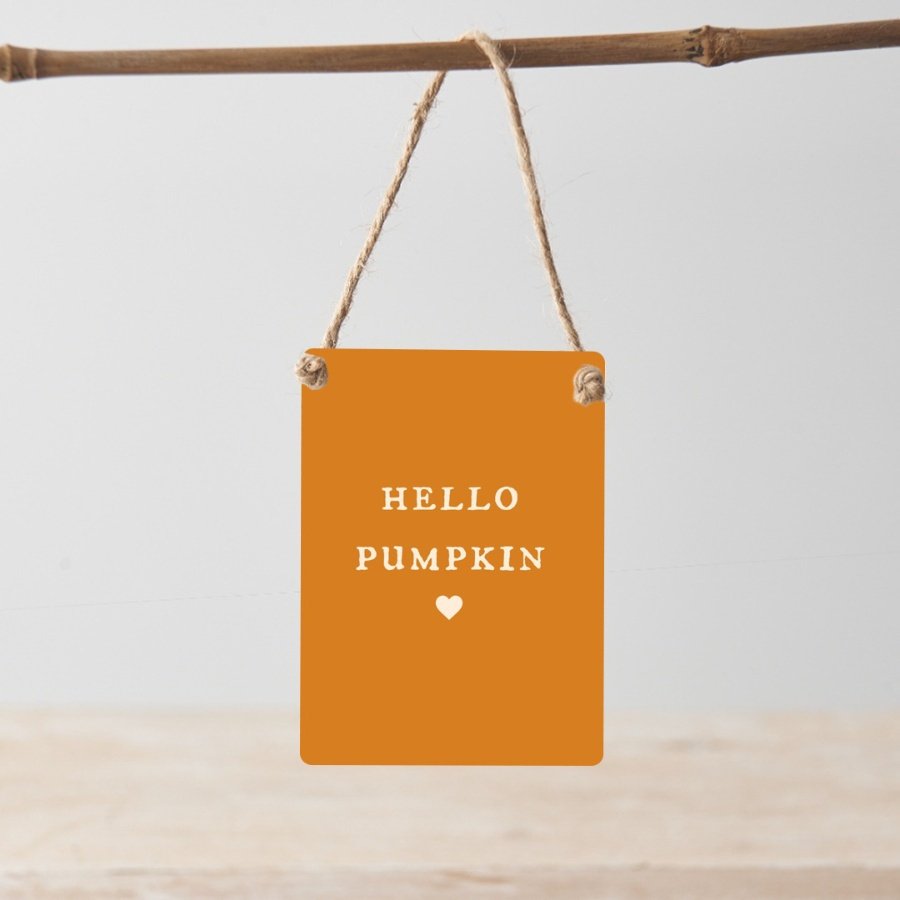 Hello Pumpkin. A cute mini metal sign with jute string hanger.