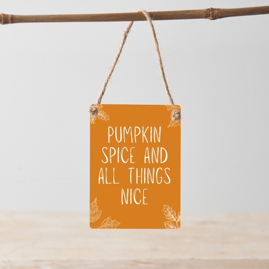 Pumpkin Spice and all things Nice. A chic, autumn themed mini metal sign with jute string hanger.