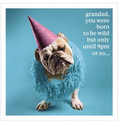 A bold blue card with a Bulldog in a party hat design with "Grandad you were born to be wild, but only until 9pm or so."
