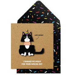 A humorous and unique greetings card with a 3D cat image and colourful matching envelope.
