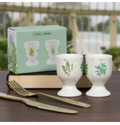 A set of 2 fine quality egg cups, each decorated with beautifully illustrated and labelled herbs. 