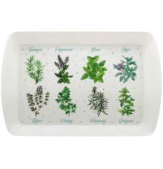 A small tray decorated with a variety of popular garden herbs. Beautifully illustrated and labelled. 