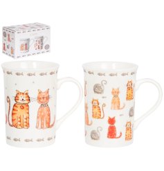Set of 2 Faithful Friend - cat mugs