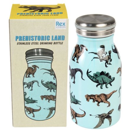 A colourful dinosaur themed stainless steel bottle. An eco friendly alternative, which is perfect for on the go. 