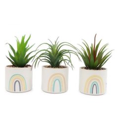 An assortment of fine quality artificial succulents set within a ceramic pot decorated with a stylish rainbow design. 