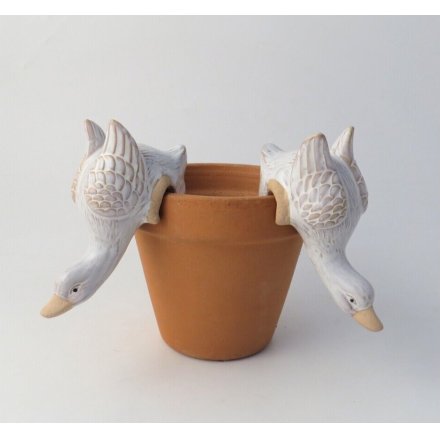 Duck Plant Pot Hangers, 2 Assorted