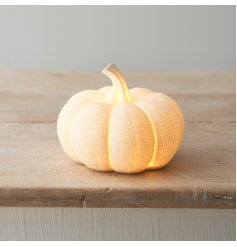 LED White Textured Pumpkin 