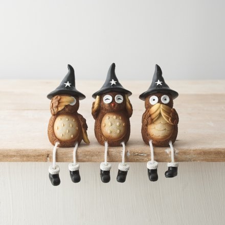 An assortment of 3 beautifully detailed wise owl ornaments, each with a black witches hat and dangling legs. 