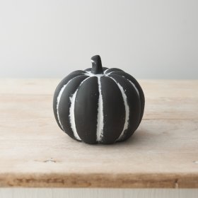 Stay on trend this season with this stunning cement pumpkin. Beautifully detailed with a rustic, hand painted finish. 