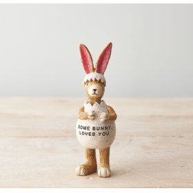 A cheeky rabbit, stood wearing a egg with ''Some Bunny Loves You'' wording