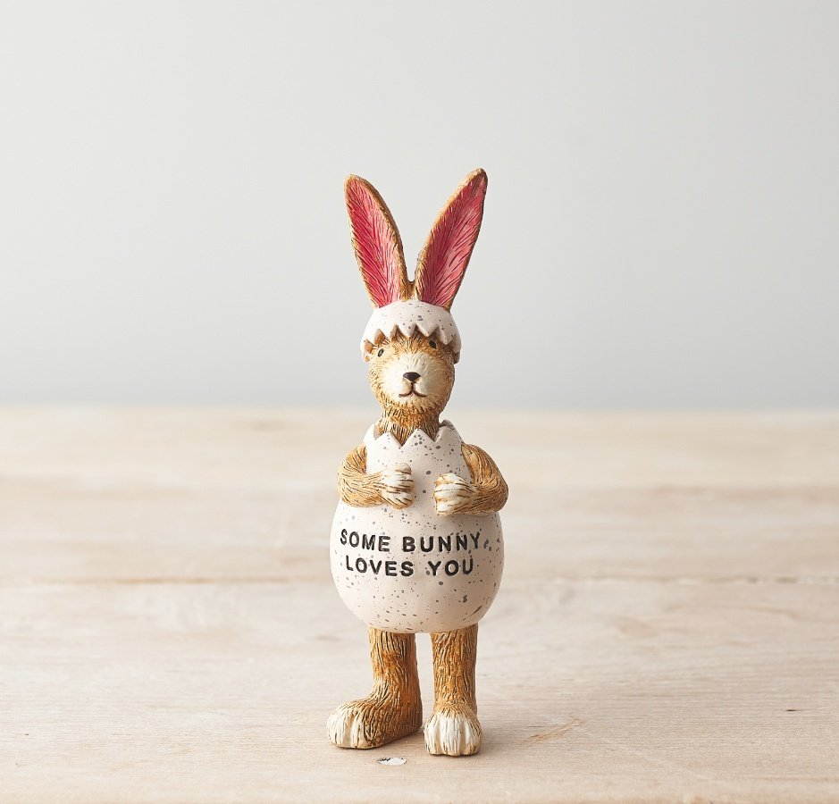 A cheeky rabbit, stood wearing a egg with ''Some Bunny Loves You'' wording