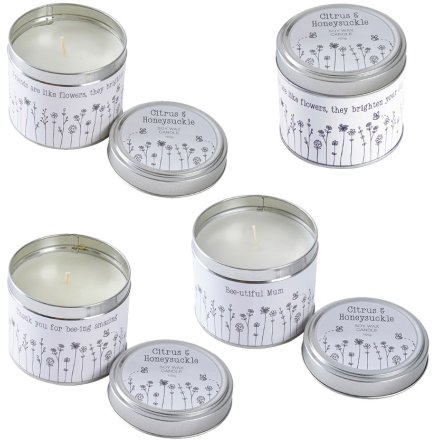 Bud & Bloom Candle In Tin, 3 Assorted