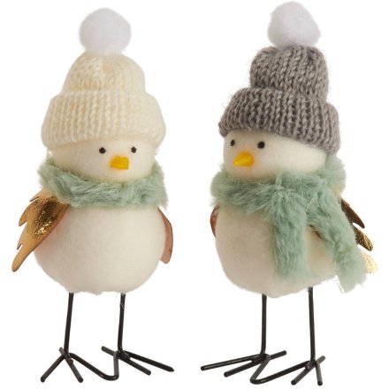 Bird in Hat and Scarf, 2 Assorted
