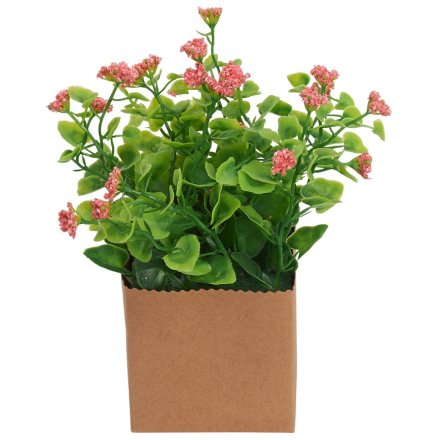 Coral Faux Boxed Plant