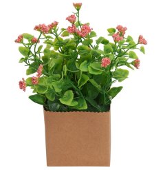 A pretty artificial plant with cute coral flowers and vibrant green foliage, presented in a scalloped felt box.