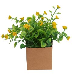 A pretty artificial plant with sunny yellow flowers and vibrant green foliage, presented in a scalloped felt box.