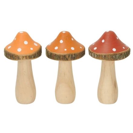 Colourful Mushrooms, 3 Asrtd