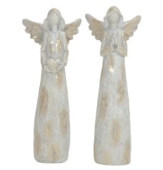 An assortment of 2 polyresin angel figurines, each with a shabby chic metallic gold finish.