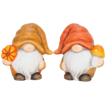Orange Gnome, 2 Asstd 11cm