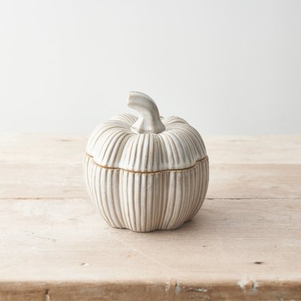 A stylish pumpkin container with ribbed detailing and a natural glaze.