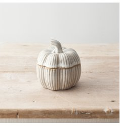 A ceramic pot shaped as a pumpkin with a white colour scheme and striped detailing. 
