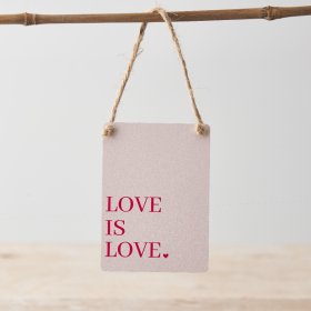 LOVE IS LOVE. A gorgeous mini metal sign with a jute string hanger.