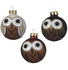 An assortment of brown and cream owl baubles with gold glitter detailing. 