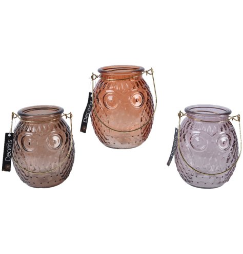 Copper, espresso and velvet pink glass owl lanterns with relief detail and gold metal handles. 