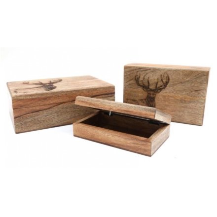 Engraved Stag Wood Boxes Set of 3