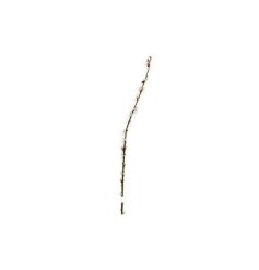 A tall 100cm artificial stem of pussy willow.