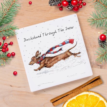 Bewilderbeest Dachshund Coaster