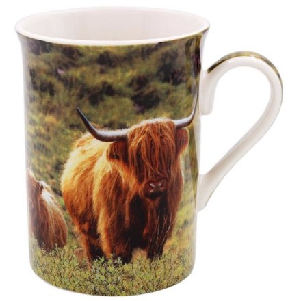 Highland Cow And Calf China Mug
