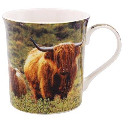Highland Cow & Calf Mug 