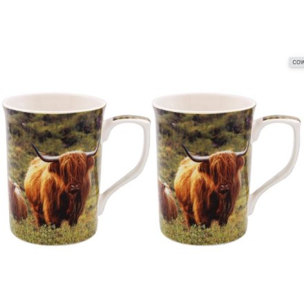 Highland Cow & Calf Set 2 Mugs