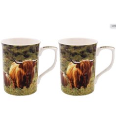 A set of 2 china mugs featuring a highland cow and calf print within a beautiful countryside setting. 