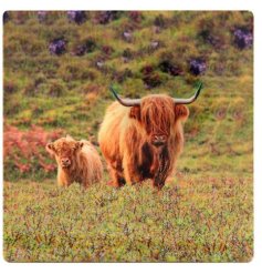 A ceramic coaster featuring a highland cow and calf print within a beautiful countryside setting. 
