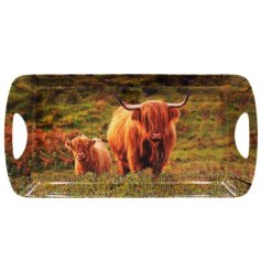 A small sized tray with a stunning scenic print featuring a highland cow and calf design. 