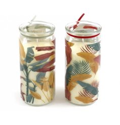 An assortment of 2 glass tube candles with an earthy and stylish tropical palm design. 