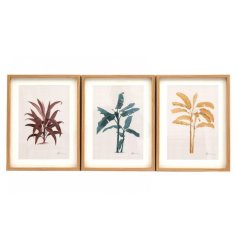 A mix of 3 framed prints, each with a beautiful earthy palm design in pink, yellow and blue colours.
