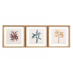 An assortment of 3 stylish tropical palm prints in earthy pink, yellow and blue designs. 
