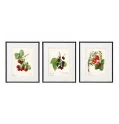  This framed colourful fruit wall art is perfect for bringing nature inside your home