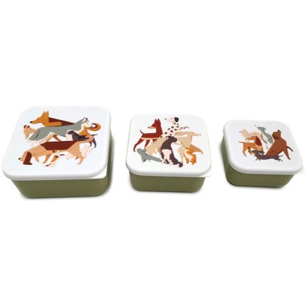 Set Of 3 Lunch Boxes - Barks Dog