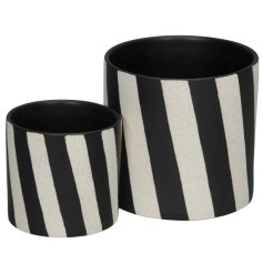 A set of 2 monochrome stripe planters with a speckle detail. An on trend minimalist design. 